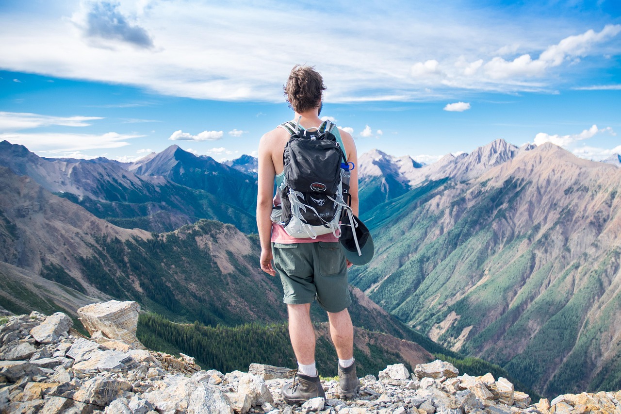 Homme (de dos) qui regarde un paysage de montagnes du haut d'une colline.